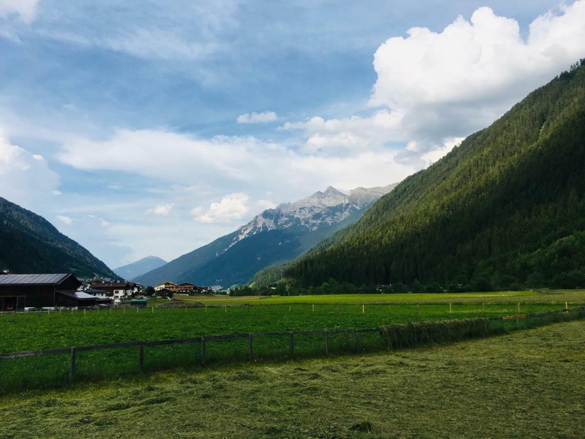 Apartment Mountainview Neustift im Stubaital Εξωτερικό φωτογραφία